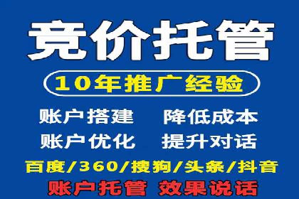 短视频平台的SEM推广实践与效果